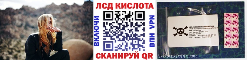Купить  Михайлов  Марки NBOMe 1500мкг 